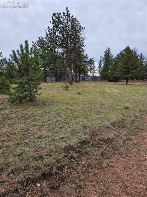 Photo of 208 Eaglecrest Drive, Florissant, CO 80816 (MLS # 9328748)