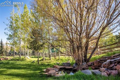 Tiny photo for 427 Gray Horse Circle, Woodland Park, CO 80863 (MLS # 1891917)