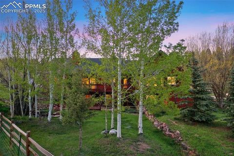 Tiny photo for 427 Gray Horse Circle, Woodland Park, CO 80863 (MLS # 1891917)