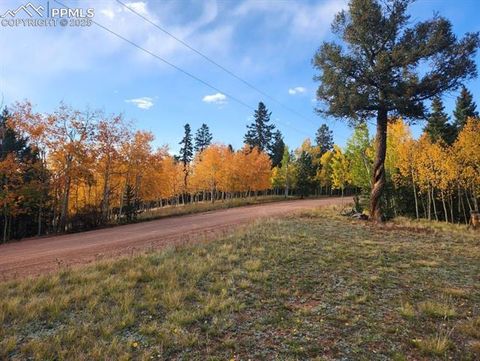Photo of 2652 YORKTOWN Road, Cripple Creek, CO 80813 (MLS # 2321722)