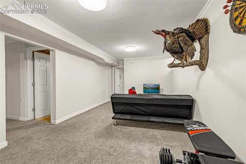 Tiny photo for 2522 Ivanhoe Drive, Colorado Springs, CO 80911 (MLS # 1262680)