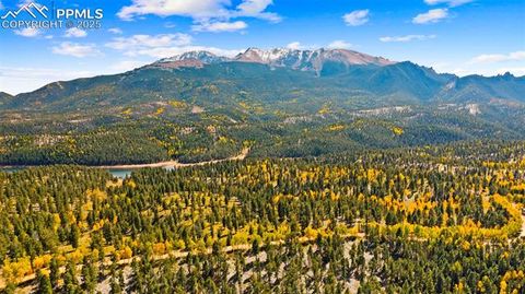 Tiny photo for 2558 County Road 28, Woodland Park, CO 80863 (MLS # 7674307)