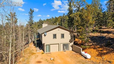 Photo of 2558 Edlowe Road, Woodland Park, CO 80863 (MLS # 7674307)