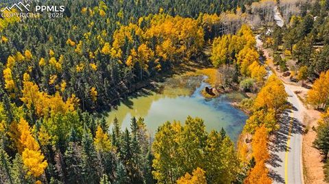 Tiny photo for 2558 County Road 28, Woodland Park, CO 80863 (MLS # 7674307)