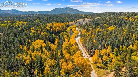 Tiny photo for 2558 County Road 28, Woodland Park, CO 80863 (MLS # 7674307)