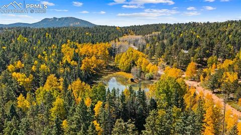 Tiny photo for 2558 County Road 28, Woodland Park, CO 80863 (MLS # 7674307)