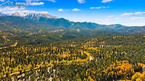 Tiny photo for 2558 County Road 28, Woodland Park, CO 80863 (MLS # 7674307)