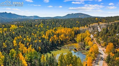 Tiny photo for 2558 County Road 28, Woodland Park, CO 80863 (MLS # 7674307)