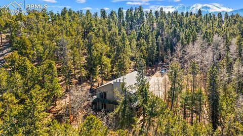 Tiny photo for 2558 County Road 28, Woodland Park, CO 80863 (MLS # 7674307)