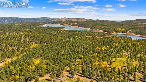 Tiny photo for 2558 County Road 28, Woodland Park, CO 80863 (MLS # 7674307)