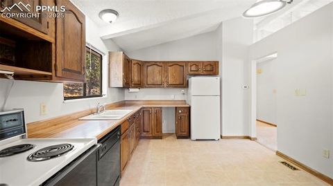 Tiny photo for 2558 County Road 28, Woodland Park, CO 80863 (MLS # 7674307)