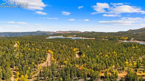 Tiny photo for 2558 County Road 28, Woodland Park, CO 80863 (MLS # 7674307)