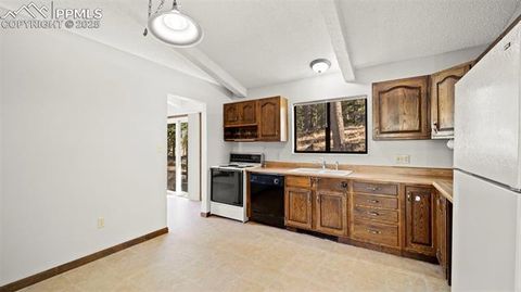 Tiny photo for 2558 County Road 28, Woodland Park, CO 80863 (MLS # 7674307)