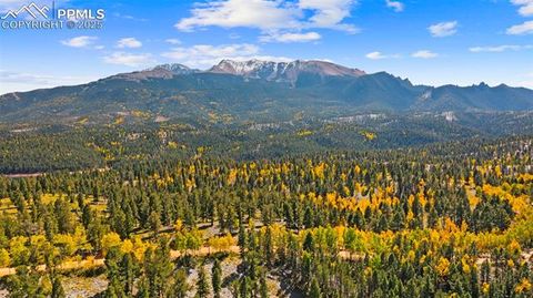 Tiny photo for 2558 County Road 28, Woodland Park, CO 80863 (MLS # 7674307)