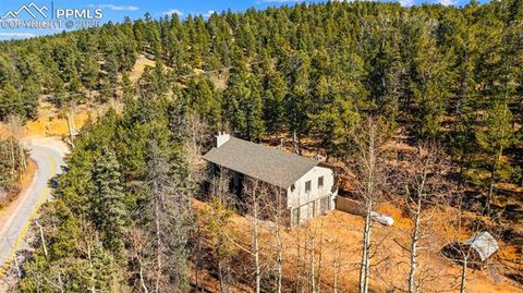 Tiny photo for 2558 County Road 28, Woodland Park, CO 80863 (MLS # 7674307)