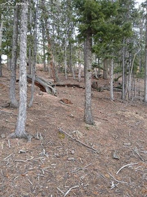 Photo of 495 Wakanda Trail, Woodland Park, CO 80863 (MLS # 7885149)