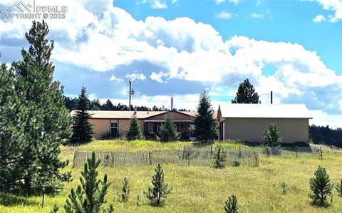 Photo of 891 S Mountain Estates Road, Florissant, CO 80816 (MLS # 3928177)