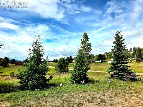 Tiny photo for 891 S Mountain Estates Road, Florissant, CO 80816 (MLS # 3928177)