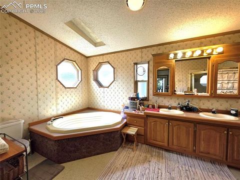 Tiny photo for 891 S Mountain Estates Road, Florissant, CO 80816 (MLS # 3928177)