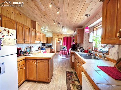 Tiny photo for 891 S Mountain Estates Road, Florissant, CO 80816 (MLS # 3928177)