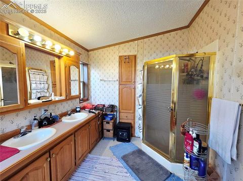 Tiny photo for 891 S Mountain Estates Road, Florissant, CO 80816 (MLS # 3928177)