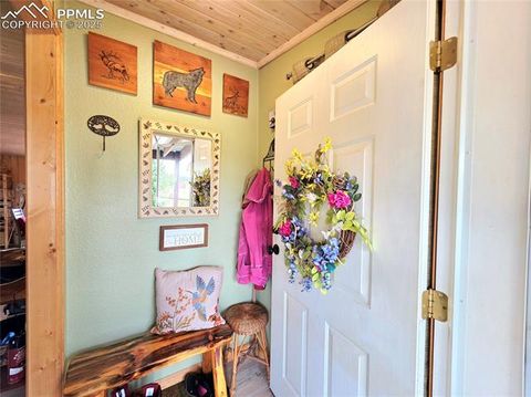 Tiny photo for 891 S Mountain Estates Road, Florissant, CO 80816 (MLS # 3928177)