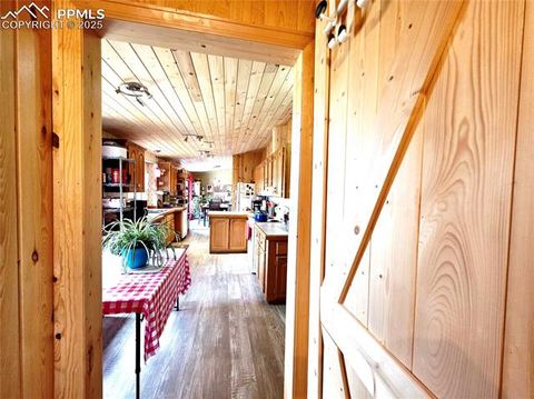 Tiny photo for 891 S Mountain Estates Road, Florissant, CO 80816 (MLS # 3928177)