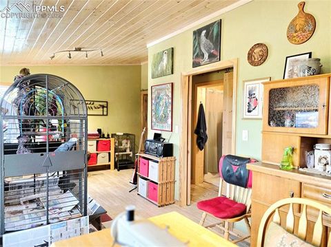 Tiny photo for 891 S Mountain Estates Road, Florissant, CO 80816 (MLS # 3928177)