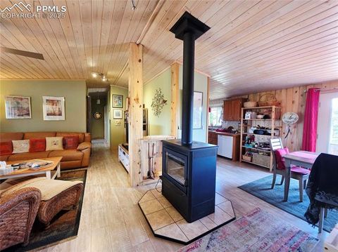 Tiny photo for 891 S Mountain Estates Road, Florissant, CO 80816 (MLS # 3928177)