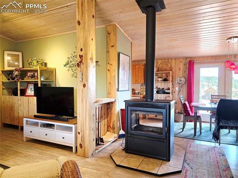 Tiny photo for 891 S Mountain Estates Road, Florissant, CO 80816 (MLS # 3928177)