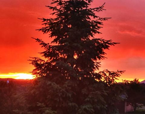 Tiny photo for 891 S Mountain Estates Road, Florissant, CO 80816 (MLS # 3928177)