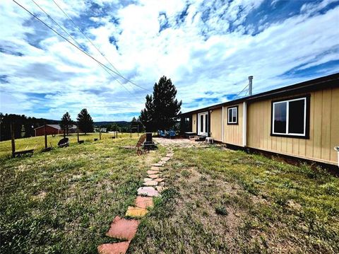 Tiny photo for 891 S Mountain Estates Road, Florissant, CO 80816 (MLS # 3928177)
