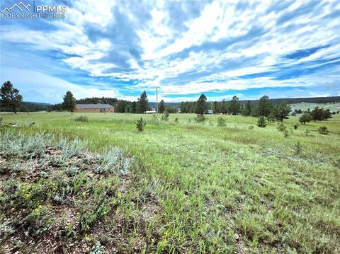 Tiny photo for 891 S Mountain Estates Road, Florissant, CO 80816 (MLS # 3928177)