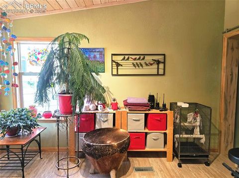 Tiny photo for 891 S Mountain Estates Road, Florissant, CO 80816 (MLS # 3928177)