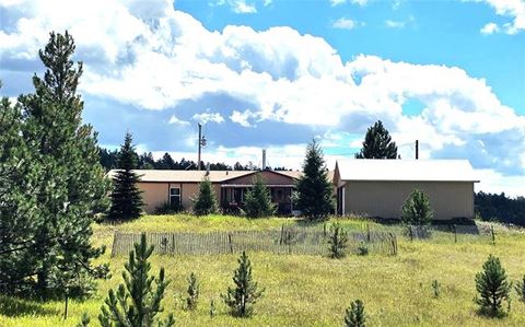 Tiny photo for 891 S Mountain Estates Road, Florissant, CO 80816 (MLS # 3928177)