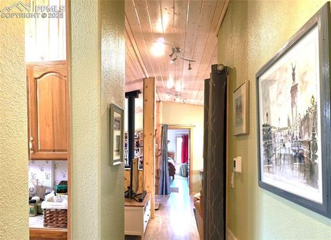 Tiny photo for 891 S Mountain Estates Road, Florissant, CO 80816 (MLS # 3928177)