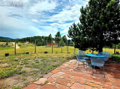 Tiny photo for 891 S Mountain Estates Road, Florissant, CO 80816 (MLS # 3928177)