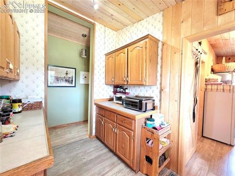 Tiny photo for 891 S Mountain Estates Road, Florissant, CO 80816 (MLS # 3928177)