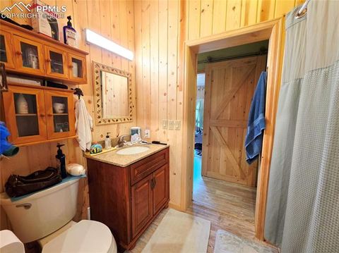 Tiny photo for 891 S Mountain Estates Road, Florissant, CO 80816 (MLS # 3928177)