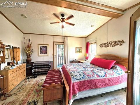 Tiny photo for 891 S Mountain Estates Road, Florissant, CO 80816 (MLS # 3928177)