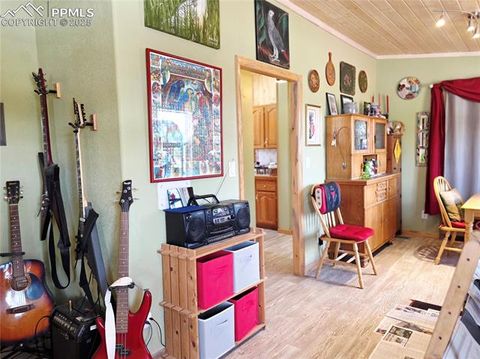 Tiny photo for 891 S Mountain Estates Road, Florissant, CO 80816 (MLS # 3928177)