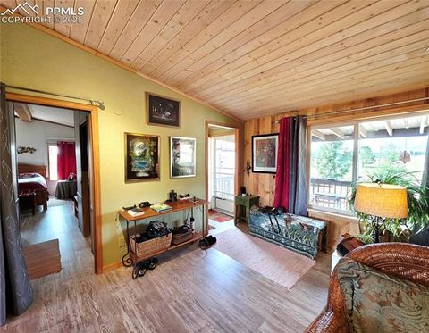 Tiny photo for 891 S Mountain Estates Road, Florissant, CO 80816 (MLS # 3928177)