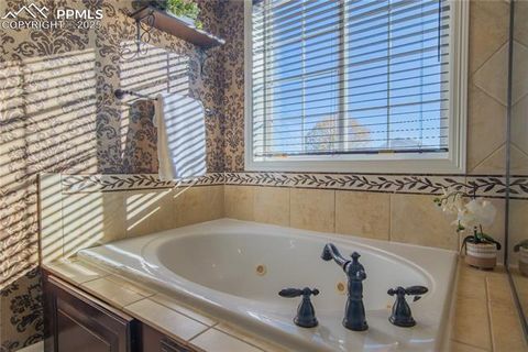 Tiny photo for 8143 Silver Birch Drive, Colorado Springs, CO 80927 (MLS # 3699270)