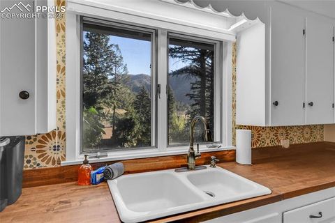 Tiny photo for 5835 Carnia Road, Cascade, CO 80809 (MLS # 6891333)