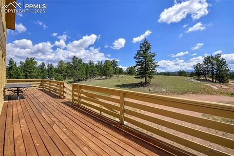 Tiny photo for 25 Arrowhead Drive, Florissant, CO 80816 (MLS # 6165683)