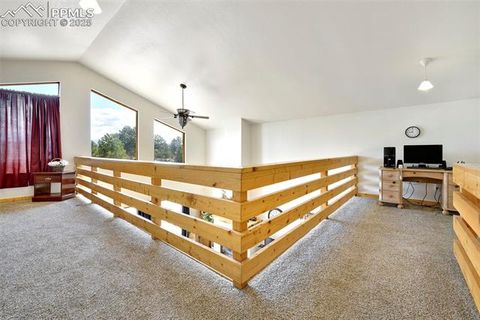 Tiny photo for 25 Arrowhead Drive, Florissant, CO 80816 (MLS # 6165683)