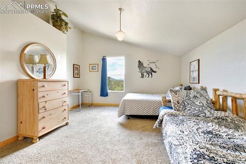 Tiny photo for 25 Arrowhead Drive, Florissant, CO 80816 (MLS # 6165683)