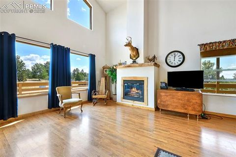 Tiny photo for 25 Arrowhead Drive, Florissant, CO 80816 (MLS # 6165683)