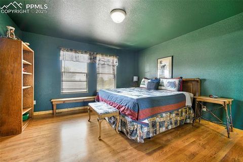 Tiny photo for 25 Arrowhead Drive, Florissant, CO 80816 (MLS # 6165683)