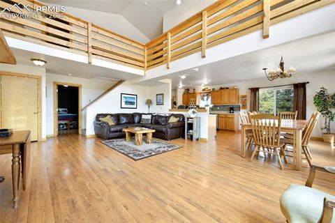 Tiny photo for 25 Arrowhead Drive, Florissant, CO 80816 (MLS # 6165683)